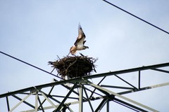 Killikus&reg; Fotographie